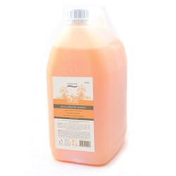 Oasis Boost Hydrating Shampoo